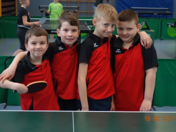 Mini Regionsentscheid 2017